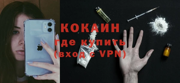 дживик Нея