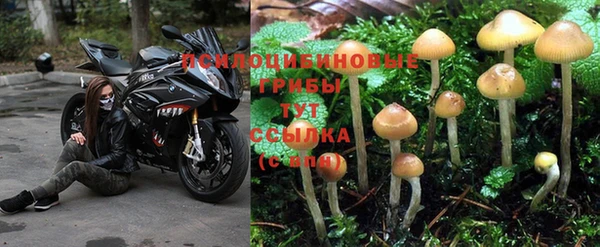 мяу мяу мука Абинск