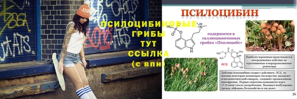 PSILOCYBIN Абдулино
