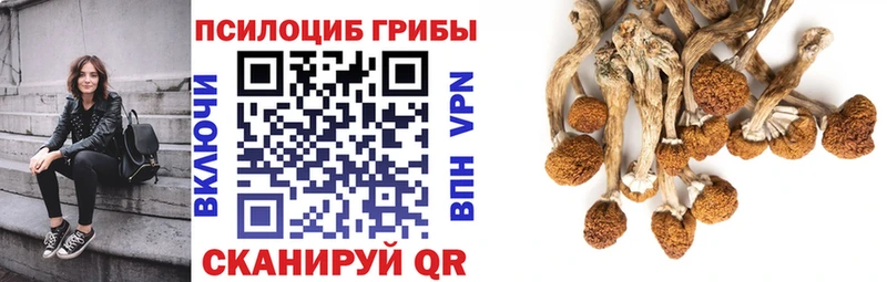 Псилоцибиновые грибы MAGIC MUSHROOMS blacksprut рабочий сайт Серафимович